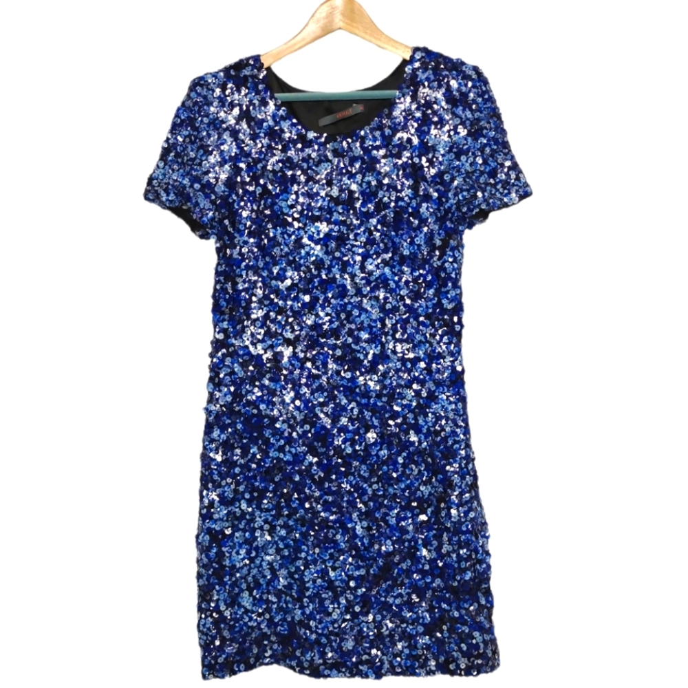 Animale Silk Sequin Dress